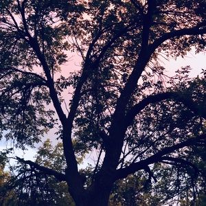 Meet your Posher, Daniela